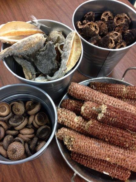 11223751_1194871310529974_1384302523057702316_n