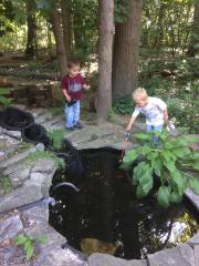 11873794_1195912443759194_4311832335704087637_n